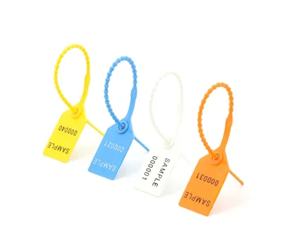 Očigledan plastični sigurnosni brtvi